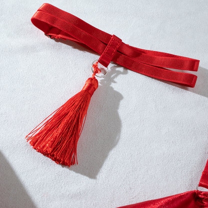 4-Piece Set Push-Up Tassel Lingerie - detail view 36