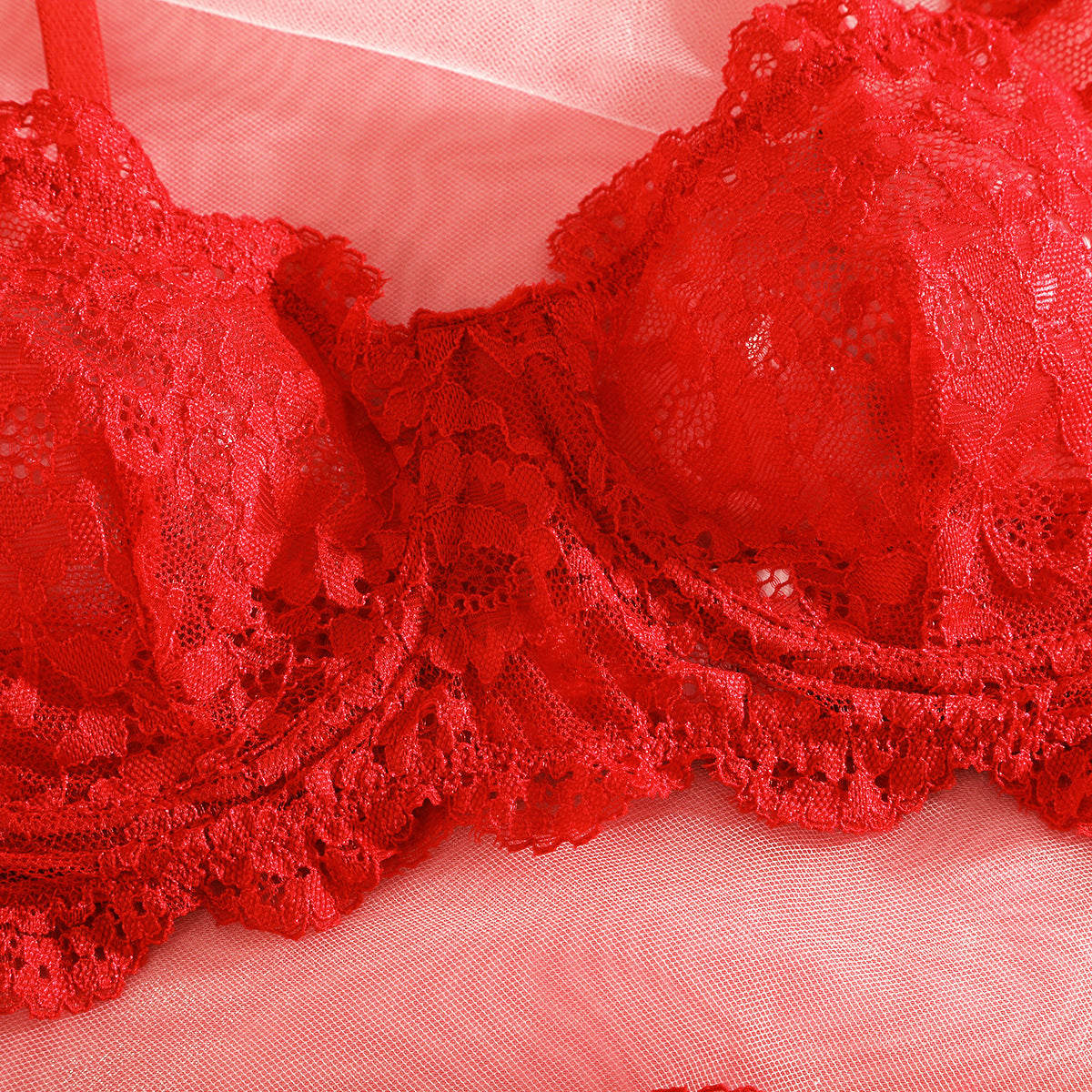 Lace Sheer Mesh Lingerie Set - detail view 59